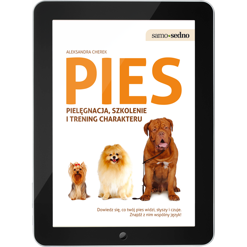 Pies Pielęgnacja, szkolenie i trening charakteru (e-book)